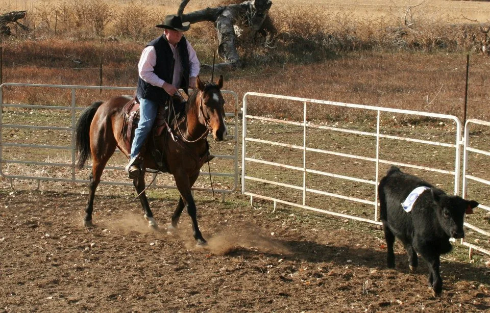 Tom Faul working a cow on a finished cowhorse at the ranch