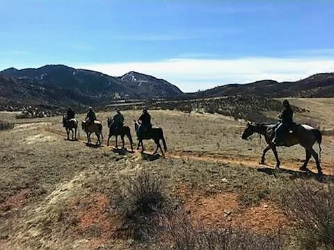 Riders out on a trail ride in the foothills near Canyon Equine