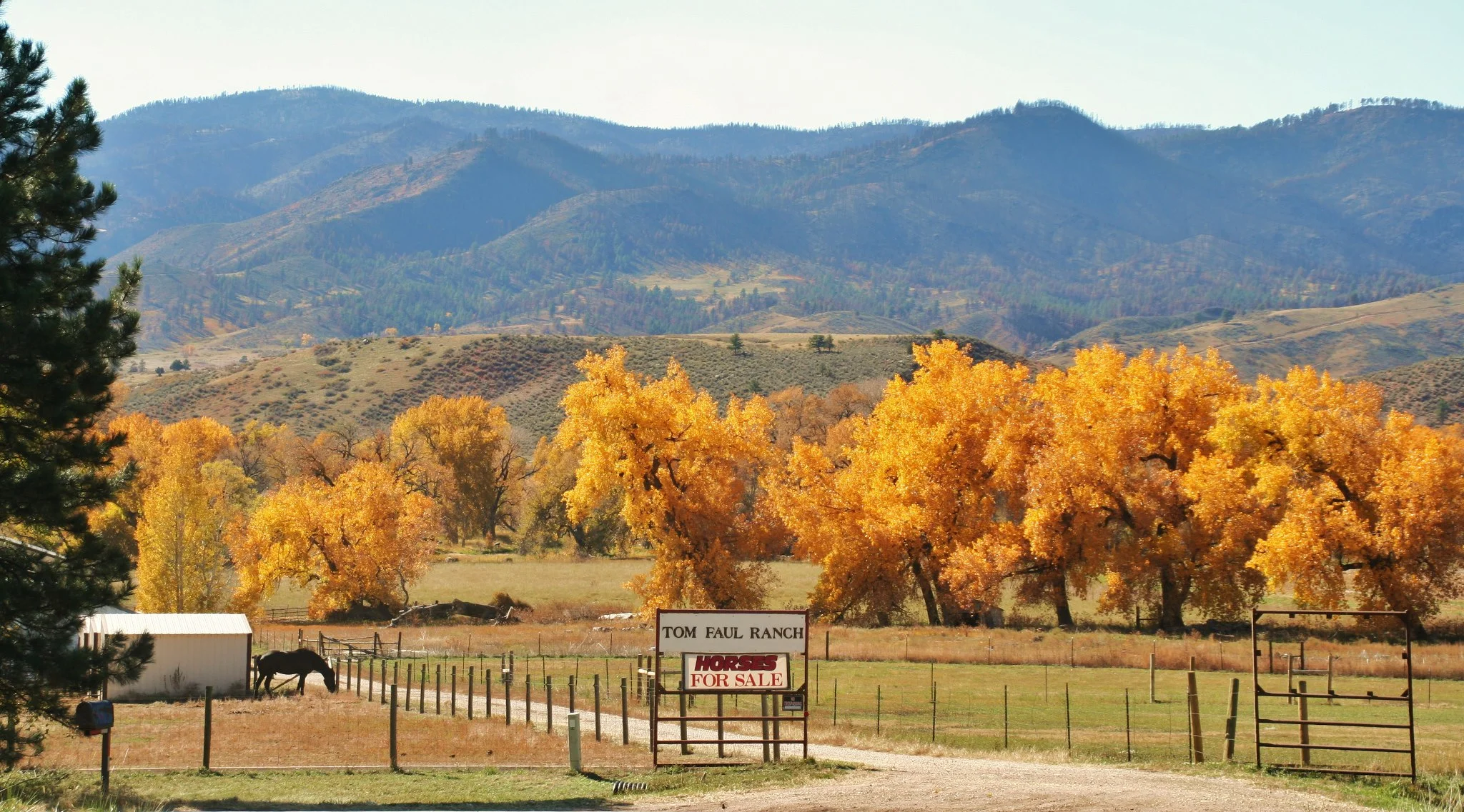 Quiet fall pasture and foothills at Tom Faul Ranch